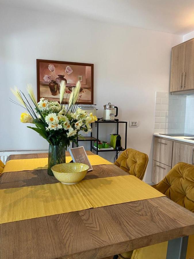 Apartaments Rîşnov Extérieur photo